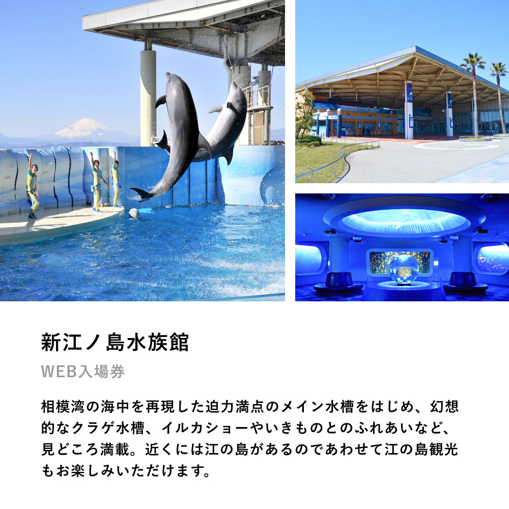 Aquarium TICKET(ファミリー)